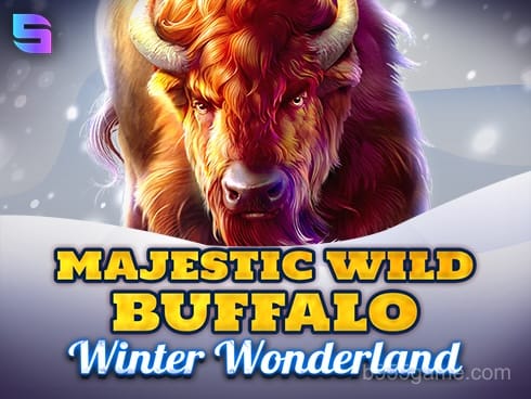 Majestic Wild Buffalo - Winter Wonderland